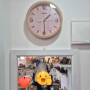 마노랩 이미지