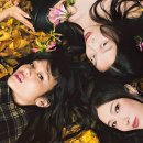 LIFE STRENGTH GYM 이미지