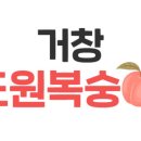 복자네복숭아