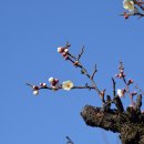 수로왕비릉(김해시 구산동 92-1) 이미지