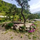 물소리바람소리 이미지