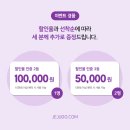 제주도닷컴