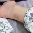 무한상사 오토바이 | [문화생활]데이식스 포에버영 피날레 티켓팅 후기