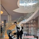 바이오메카 | AMI Trend Korea 2025 - 쥬비덤 심포지움 후기