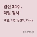 해운대백병원 사거리(백병원 앞) | 임신 34주차 정기검진 후기,, 해운대백병원 막달검사 동선 정리