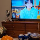 채씨 고집불통 이미지