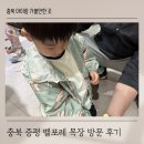 사계절아이스크림할인마켓 | 충북 증평 벨포레 목장 6살 아이랑 가볼 만한 곳