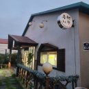 측백장어 이미지