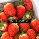 훈이상회 이미지