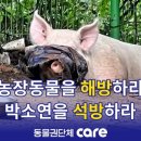 은행정농장 이미지