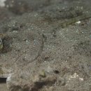 해누리약국 이미지