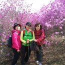 원미공원 이미지