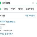 윤미하다