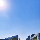 방축천1 해지개2교 | 여기 좋아 매일 걷고 싶은 산책로 &#34;방축천&#34; 워킹 테라피, 시선 고정 방축천 왕버들 나무