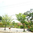 작전 현대3차아파트 이미지