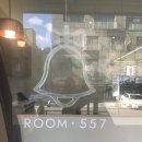 Room(룸)557