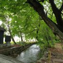 신선동-10 이미지