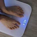미샤스크린골프 | ft. 다이어트 식단, 렉토 맨투맨 후기, 판교 그래비티 제로비티, 미샤 2부 원피스 추천, 판교 현백...