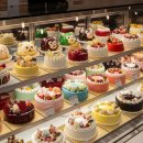 지나케이크 이미지