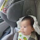 베네피아다산 | [베네피아 다산점] 내돈내산 악스키드 카시트 구입후기!!①