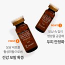 디에스투
