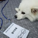 경운기네텐트세탁소 이미지