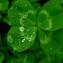 정병공인중개사사무소 이미지