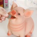 미래원목 - 남원시 | 원목 인테리어 돼지 저금통 투명 지폐 동전 금고 보관함 실사용 후기