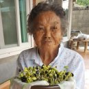 영동군노인복지관 이미지