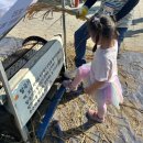 영산동주민센터 | 나주 가을 가볼만한곳 2025 나주 영산강 축제 주차 뽀로로 베베핀 공연정보 키자니아 기차 체험 꿀팁 후기