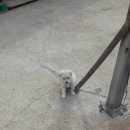 영빈파크 이미지