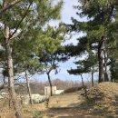활터약수터 네이버블로그