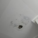 더포레풀빌라A 이미지