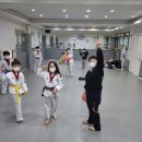 권일 태권도 이미지