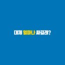 포인트안경,콘택트 이미지