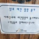 진애견 | 인천대공원 애견동반 베이커리 카페 ‘노란우체통’ 방문 후기