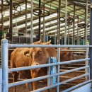 이은희 농장 이미지