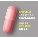 큐브마켓데이