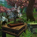 팬더리아 이미지