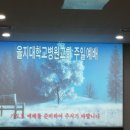 을지대학병원 Daum카페