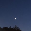 최*용1 이미지