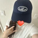 한국으로 일시귀국