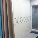 킹콩복싱아카데미 이미지