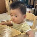 신화반점 이미지