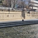 닥터워치 | 손목닥터 9988 포인트 받는법, 갤럭시 워치 연동 후기