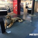 남성축사 이미지