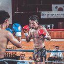 팀위너 복싱핏 이미지