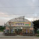 다육정원네덜란드 이미지