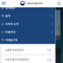 헤나스토리 이미지