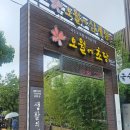 초당 | 강릉 초당순두부마을 경포국수맛집 오월에 초당 방문 후기